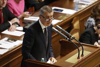 Nemám žádné offshory, tvrdil před lety Babiš poslancům - Novinky